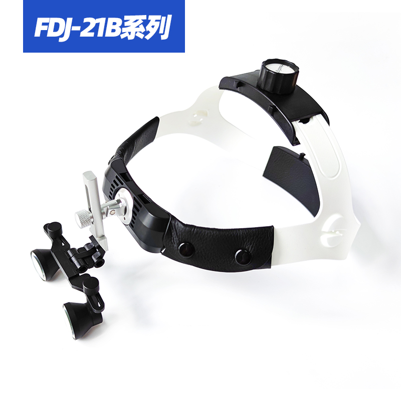 FDJ-21B系列-头戴式